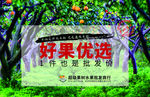 果园水果批发
