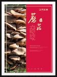 蘑菇