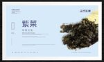 紫菜