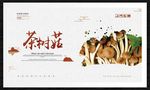 茶树菇