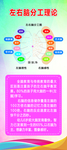 左右脑分工理论