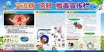 艾滋病  乙肝  梅毒宣传栏