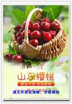 新鲜水果