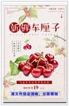车厘子 樱桃