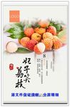 荔枝