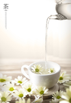花茶海报