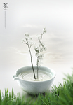 茶叶海报 绿茶 绿茶海报