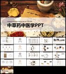 中医学养生保健医院中医文化草药
