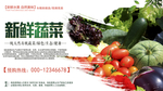 新鲜蔬菜