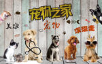宠物之家