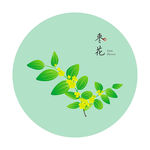 枣花