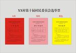 村民委员会选举票