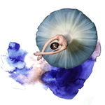 天鹅湖