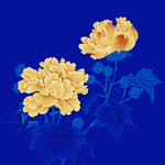 芙蓉花