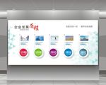 企业发展历程