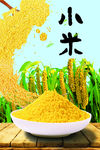 小米