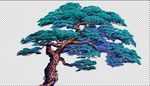 松树插画
