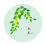 枣花