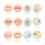 口腔护理的前十二期