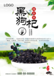 黑枸杞
