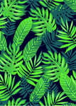 北欧现代简约小清新植物装饰画
