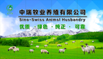 农场   牧场   背景墙