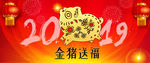 2019金猪送福