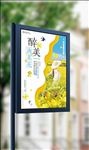 油菜花观赏旅游季春天海报