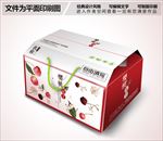 樱桃纸箱包装设计PSD