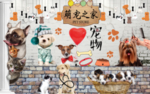宠物店背景墙