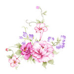 手绘花