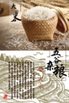 大米