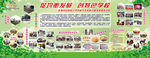 学校板报