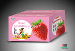 草莓手提箱平面图