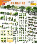 园林树木模型