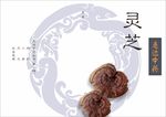 中医灵芝封面