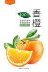 香橙水果海报
