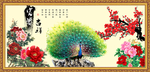 孔雀