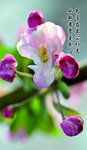廉政文化