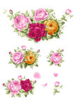 手绘花