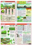 农业报纸期刊设计