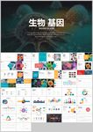 基因分子结构医学实验科研PPT
