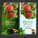 红富士苹果