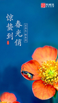 惊蛰海报设计PSD