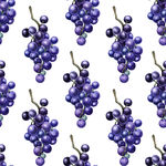 紫色葡萄