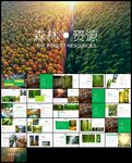 植树节湿地森林日植树造林PPT