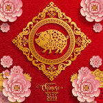 2019猪年春节花卉中国风海报
