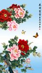 牡丹