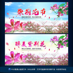 紫荆花