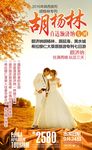 胡杨林微信海报